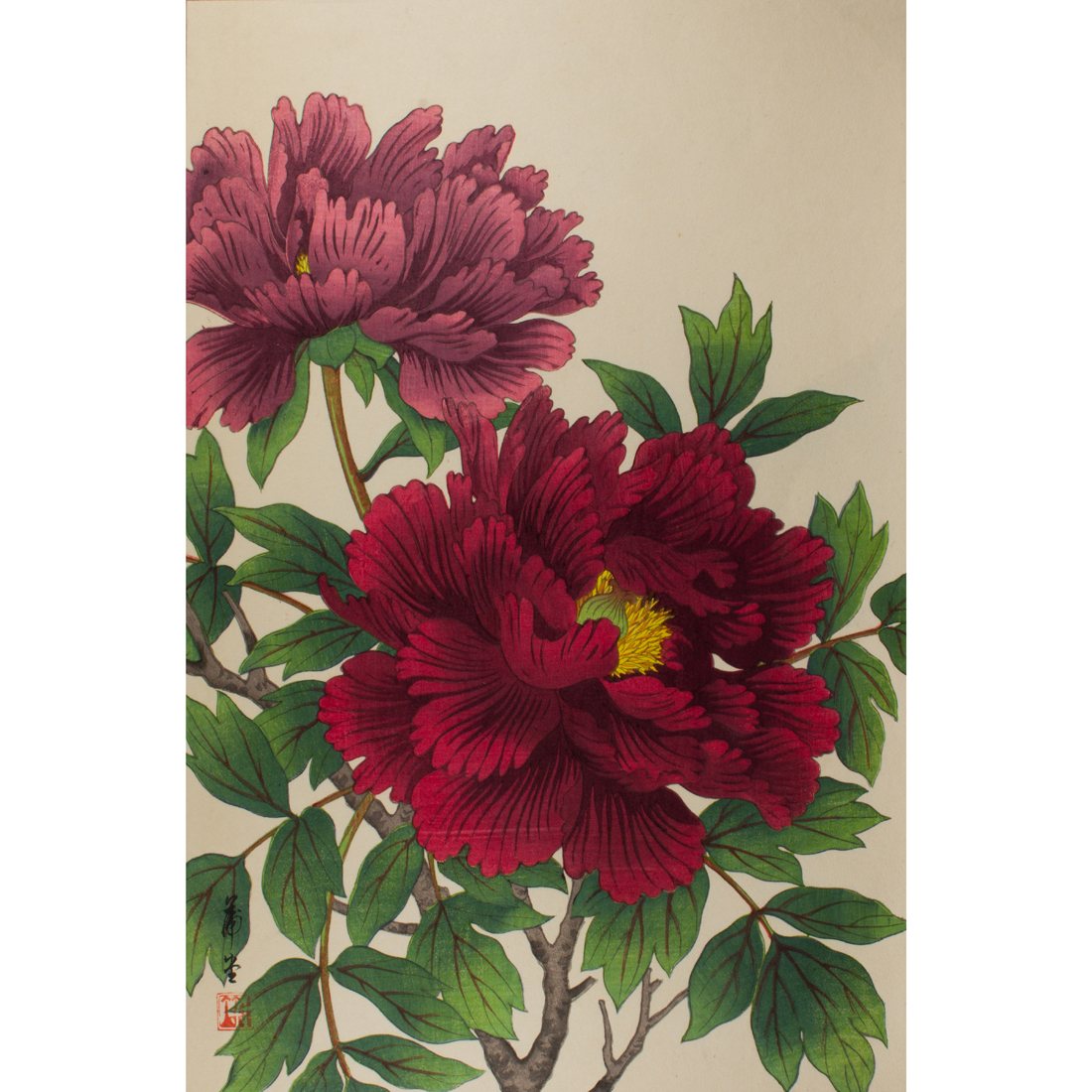 NISHIMURA HODO - PEONY Nishimura