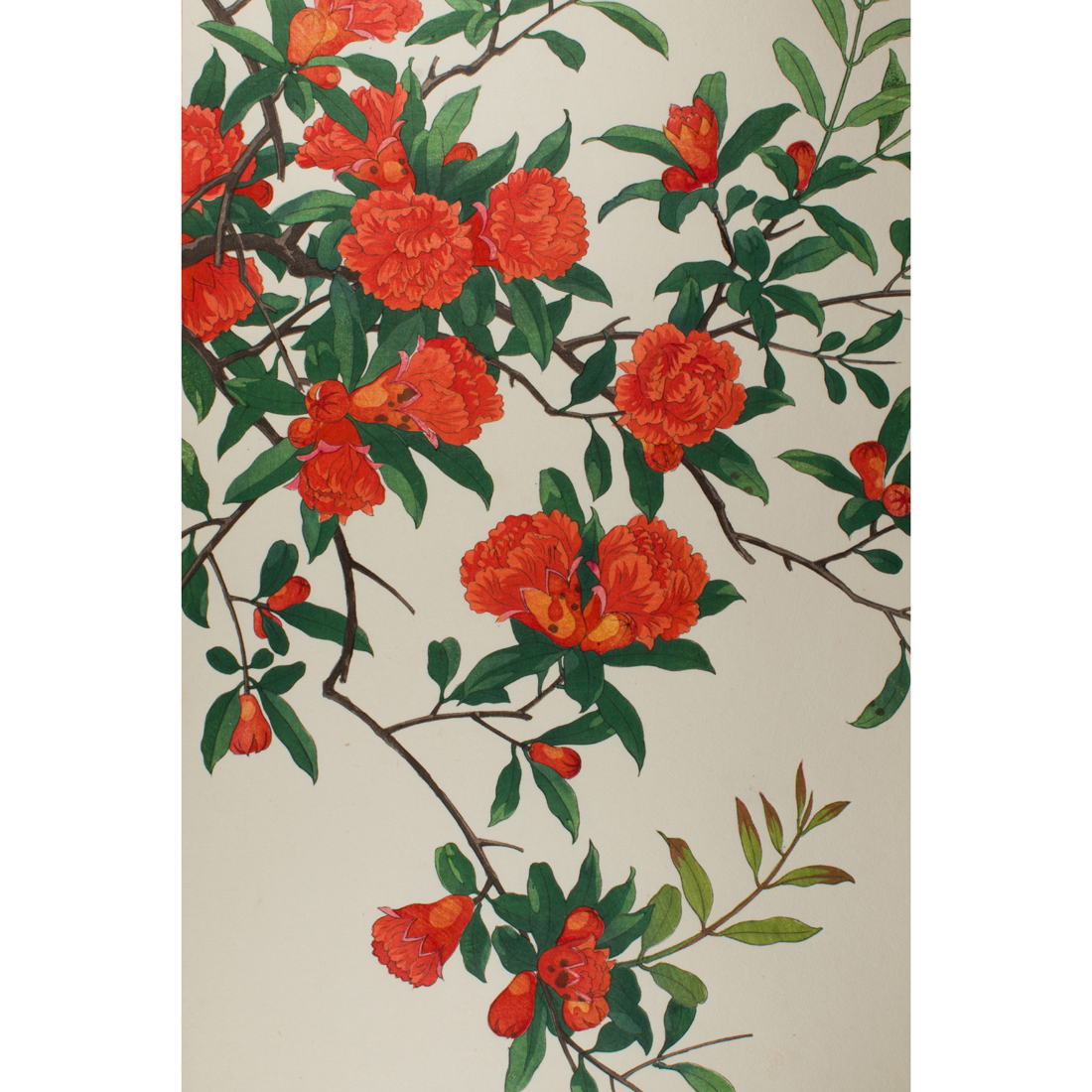 NISHIMURA HODO - RED AZALEA
