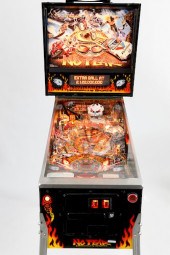 "NO FEAR" PINBALL MACHINE BY T