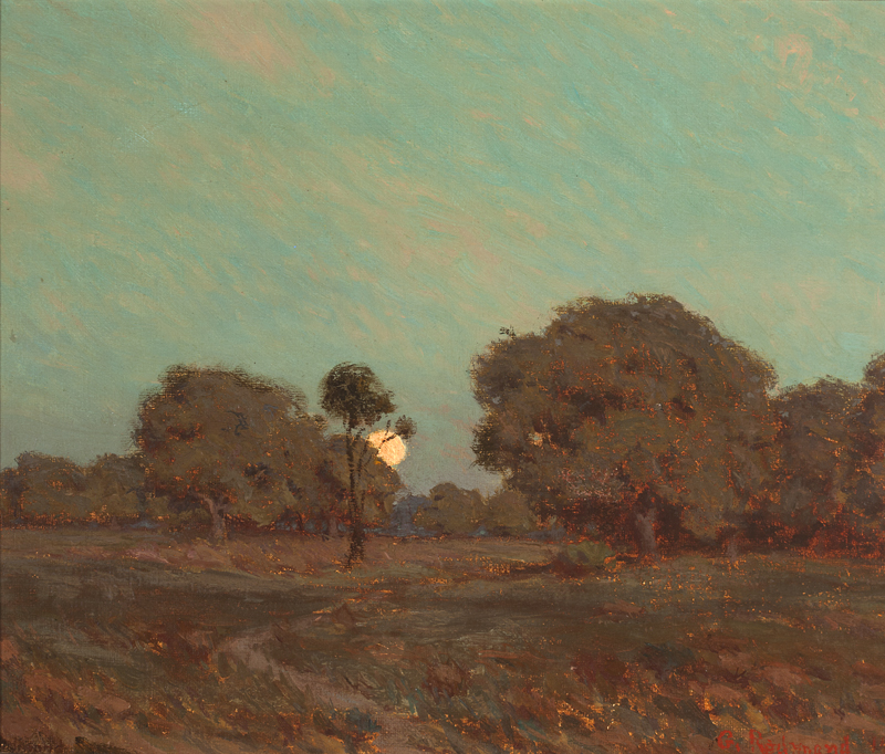 Nocturnal landscape with full