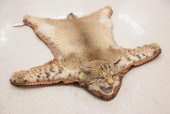 NORTH AMERICAN BOBCAT WALL RUG