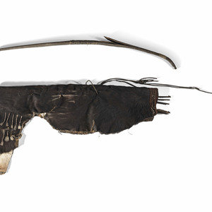 Northern California Sinew-Backed