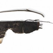 Northern California Sinew-Back