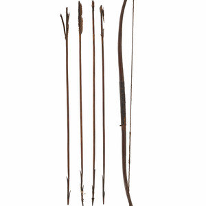 Northern California Sinew-Backed