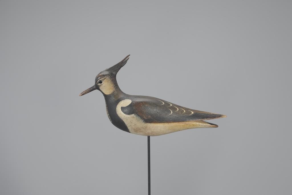 NORTHERN LAPWINGMark S. McNair