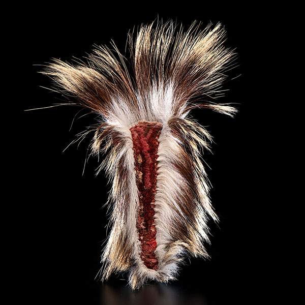 Northern Plains Hair Roach composed