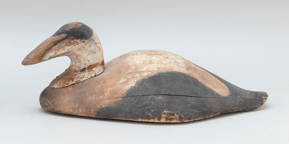 NOVA SCOTIA EIDER DRAKE DECOY CIRCA