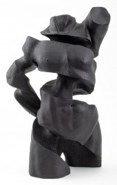 NUDE UNRAVELING TORSO COMPOSIT