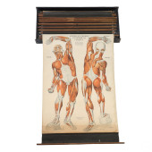 NYSTROM 20C. ANTIQUE ILLUSTRAT