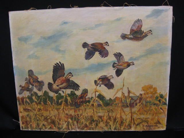 O. Bertrand Oil Quail in flight