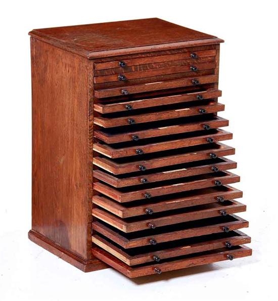 Oak collector's cabinet 19th