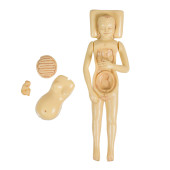 OBSTETRICS MEDICINE DOLL<br>Ob