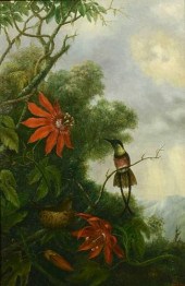 O/C HUMMINGBOARDS, TREVOR JAME