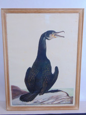OFF SET LITHOGRAPH, "DOUBLE CR