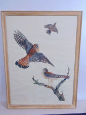OFF SET LITHOGRAPH, "SPARROW H