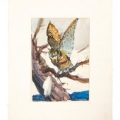 Ogden Pleissner
(American, 190