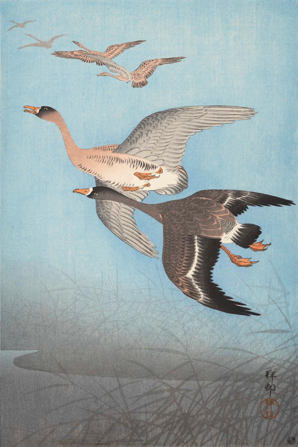 OHARA KOSON OBAN TATE-E