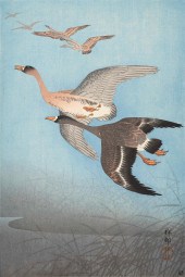 OHARA KOSON OBAN TATE-E UNFRAM