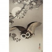 OHARA KOSON - OWL AND MOON Oha