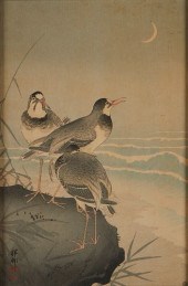 OHARA KOSON "PLOVER NEAR SEASI