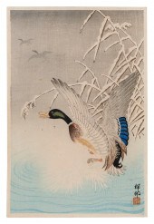 OHARA SHOSON (JAPAN, 1877-1945