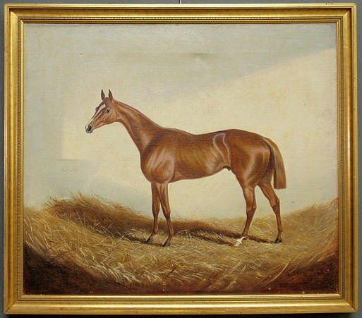 Oil on canvas equine portrait