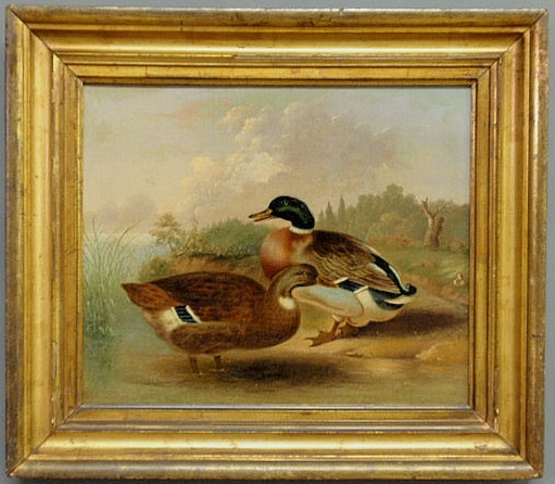 Oil on canvas painting of mallard