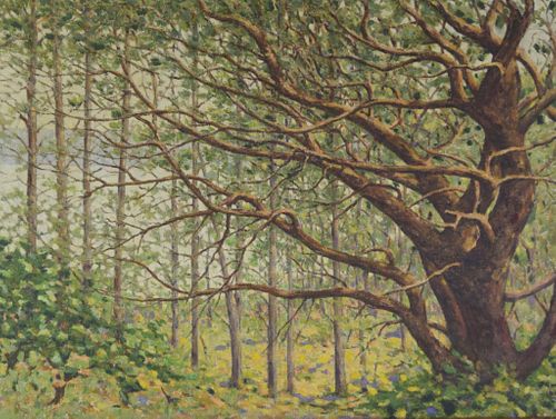 OIL ON CANVAS WOODED LANDSCAPEOil