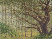 OIL ON CANVAS WOODED LANDSCAPE