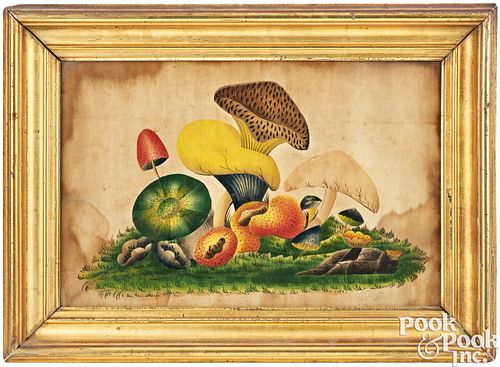 OIL ON VELVET THEOREM OF MUSHROOMS,