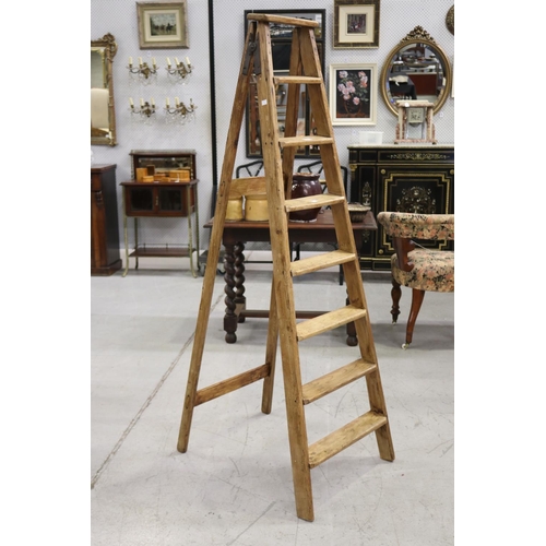 Old French wooden stepladder,