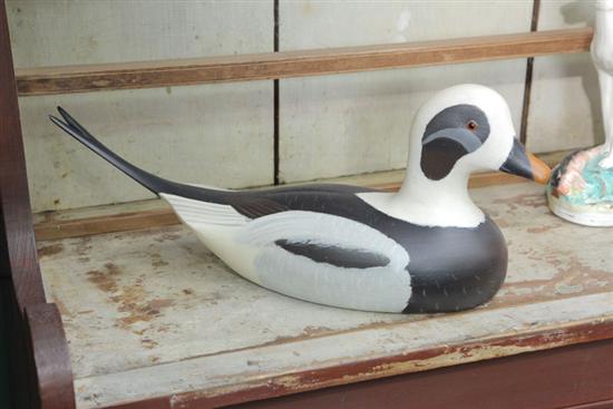 OLD SQUAW LONG TAIL DUCK DECOY BY