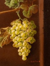 Oliver Clare (1853-1927)/Bunch