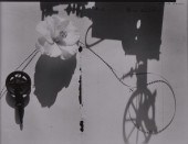 OLIVIA PARKER (b. 1941): CINEM