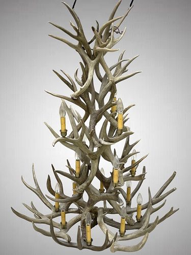 ONE OF A KIND ANTLER MULE DEER