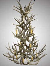 ONE OF A KIND ANTLER MULE DEER