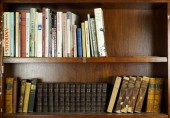 ONE SHELF OF BOOKS MOSTLY RELA