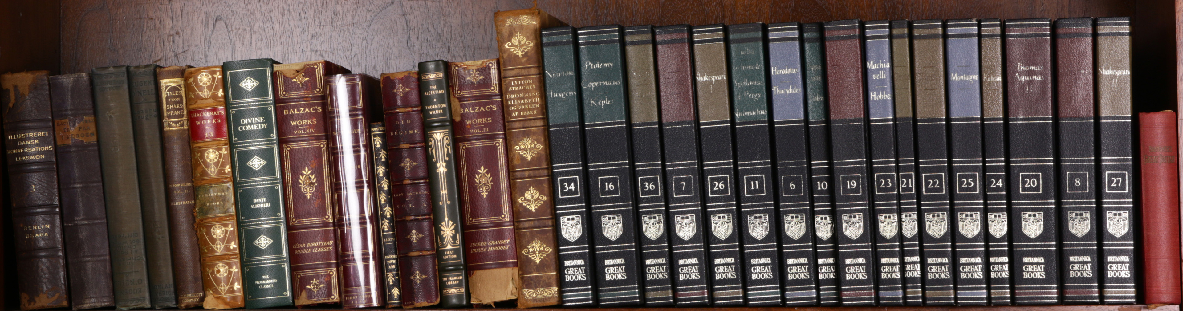 ONE SHELF OF LITERATURE CLASSICS