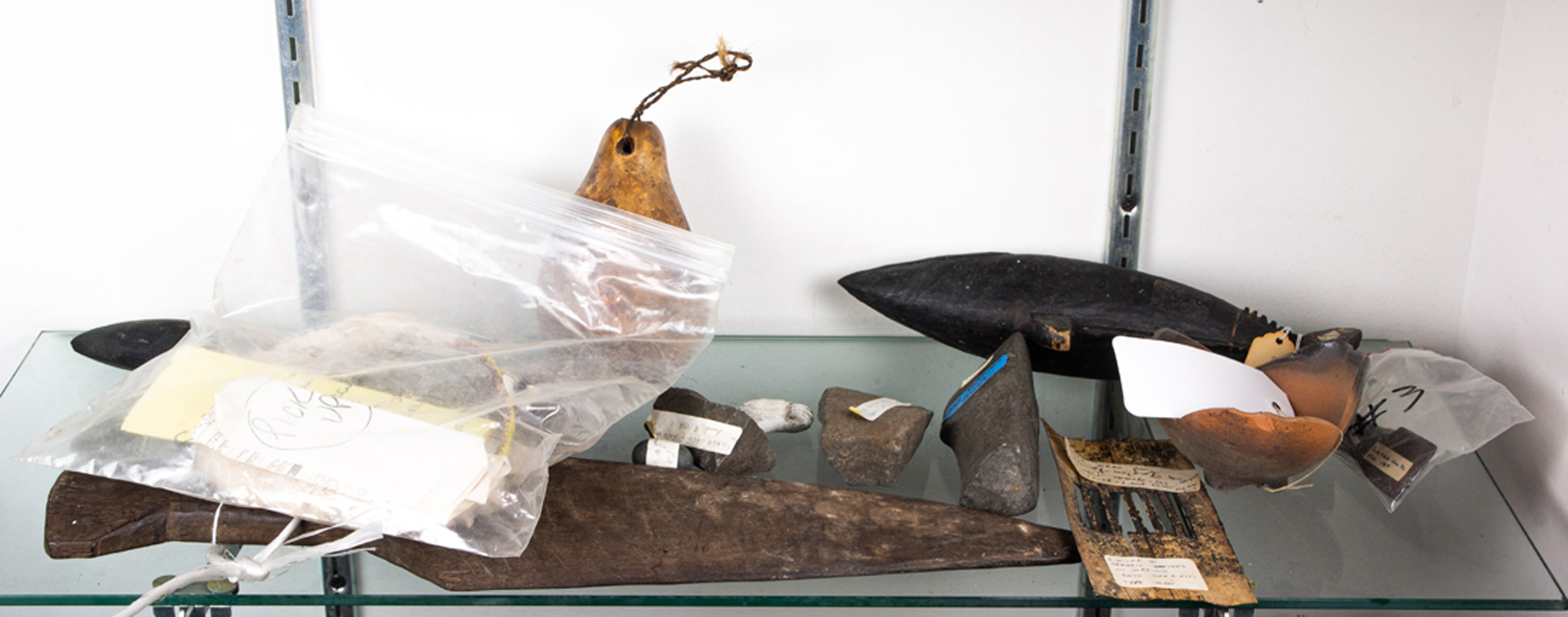 ONE SHELF OF OCEANIC ART One