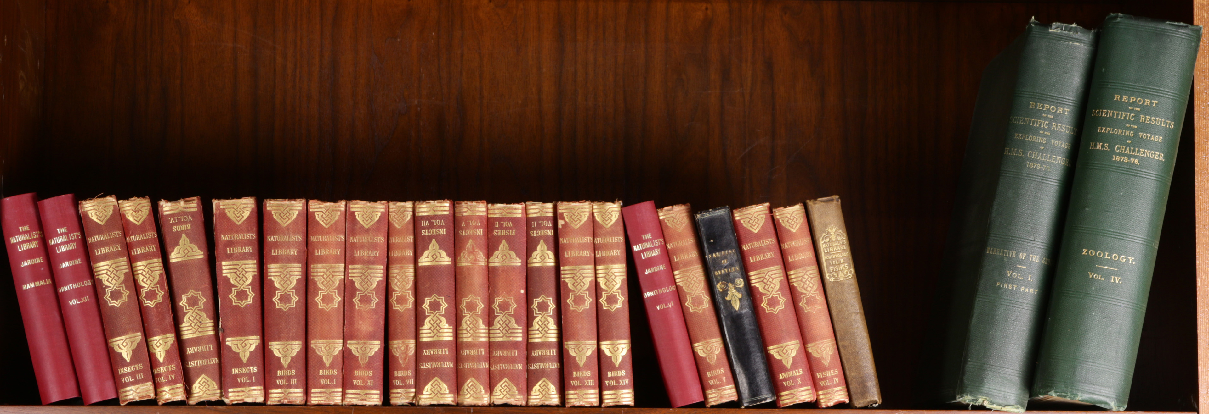 ONE SHELF OF TEXTS ON ENTOMOLOGY,