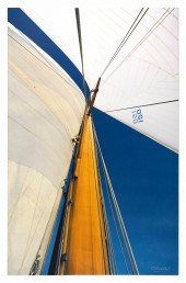 ONNE VAN DER WAL (NEWPORT, RHO