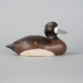 ONTARIO BLUEBILL HENA Bluebill