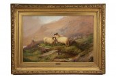 OOC - Highland Sheep by Willia