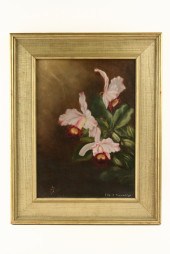 OOC - Pink Lilies by Ella J. T