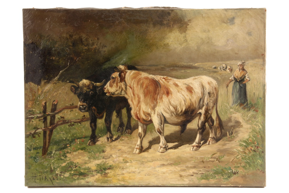 OOC - Woman Driving Two Oxen from
