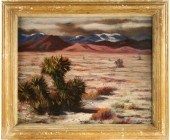 OOP - Yucca Bush in the Desert