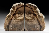 OREGON EOCENE PETRIFIED / FOSS