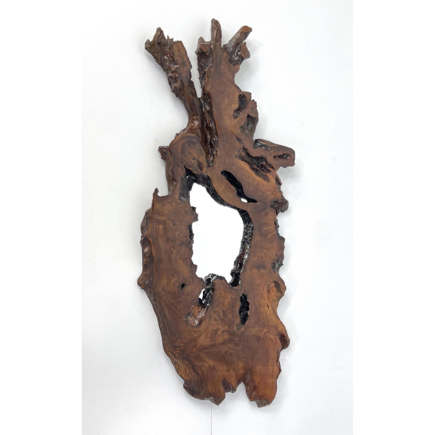 Organic Live Edge Tree Slab Wall