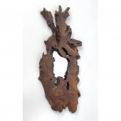 Organic Live Edge Tree Slab Wa