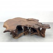 Organic Live Edge Wood Tree Sl